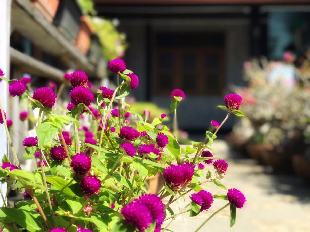 Mangrove House Lanta Old Town Ξενοδοχείο Ko Lanta Εξωτερικό φωτογραφία